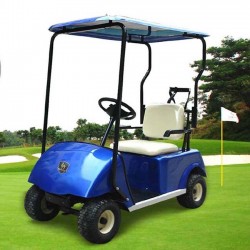 1 Seater Cheap Electric Golf Cart Dg-C1 with CE Certificate From China
