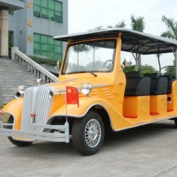 8 Passenger Electric Golf Cart Sale