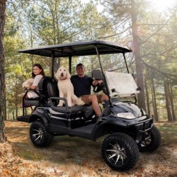4 Wheels Electric Golf Cart