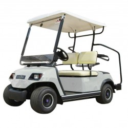 2 Seaters 4 Wheel Electric Golf Cart (LT_A2)