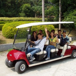 China Lvtong Produce 8 Seaters Electric Golf Cart