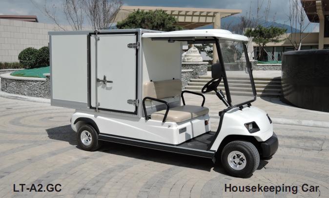 Sale 2 Person Electric Golf Cart Image1