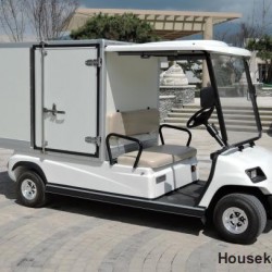 Sale 2 Person Electric Golf Cart