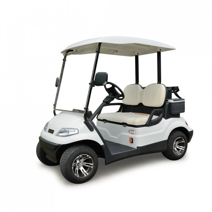 China Manufacture Electric Golf Cart for 2 Person Image1