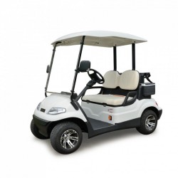 China Manufacture Electric Golf Cart for 2 Person