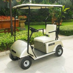 Electric One-Seated Golf Cart (DG-C1) with Ce Approved