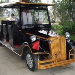 8 Person Electric Vintage Golf Carts