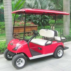 Best-Selling 4 Person Electric Golf Cart with Ce (DG-C2+2)