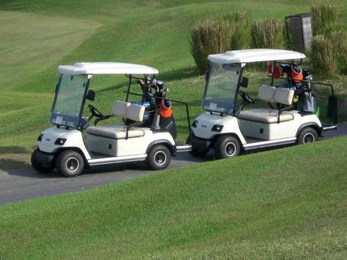 Electric Powerful 2 Seats Golf Cart Wholesale Image1
