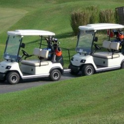 Electric Powerful 2 Seats Golf Cart Wholesale