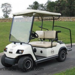 Electric 2 Seater Small Golf Carts for Sale (Lt_A2)