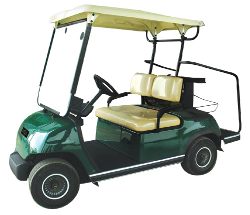 Wholesale Two Person Electric Golf Cart Image1