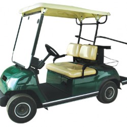 Wholesale Two Person Electric Golf Cart