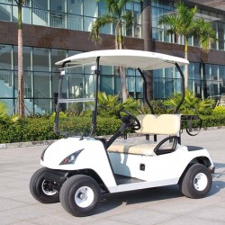 China Manufacturer Ce Approved 2 Seats Electric Golf Cart (DG-C2)
