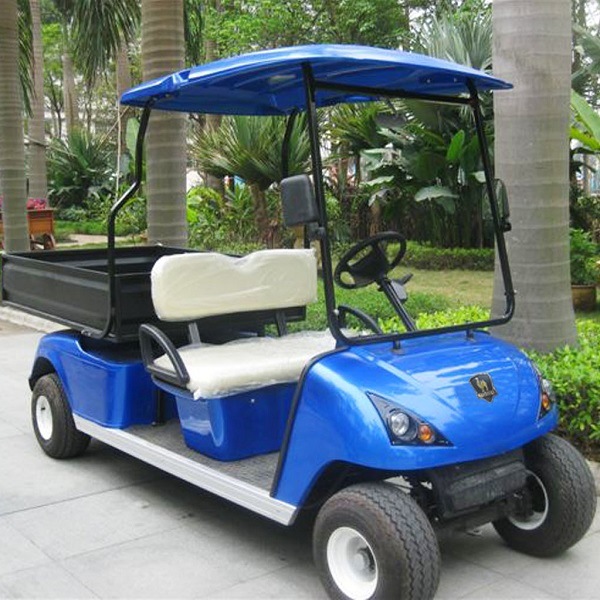 2 Seats Electric Golf Shipping Cart with Cargo Box (DU-G4L) Image1
