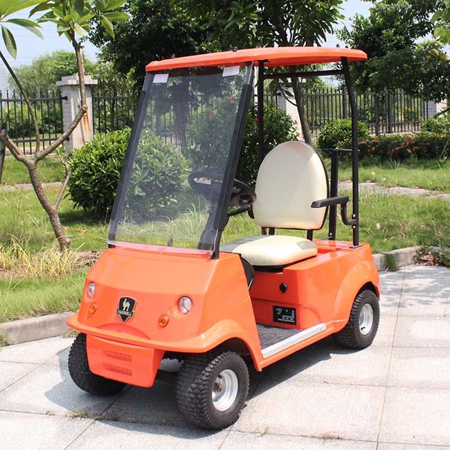 Marshell Factory Price Offer Electric Single Golf Cart (DG-C1) Image1