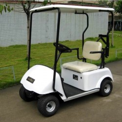 Marshell Factory Low Price Single Seater Electric Golf Cart (DG-C1)