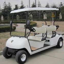 Curtis Controller Mini 4 Seaters Electric Golf Cart (DG-C4)