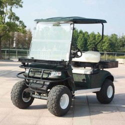 2 Seater New Electric Hunting Golf Cart with CE (DH-C2)