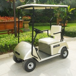 CE Approve One Person Electric Single Seat Golf Cart (DG-C1)