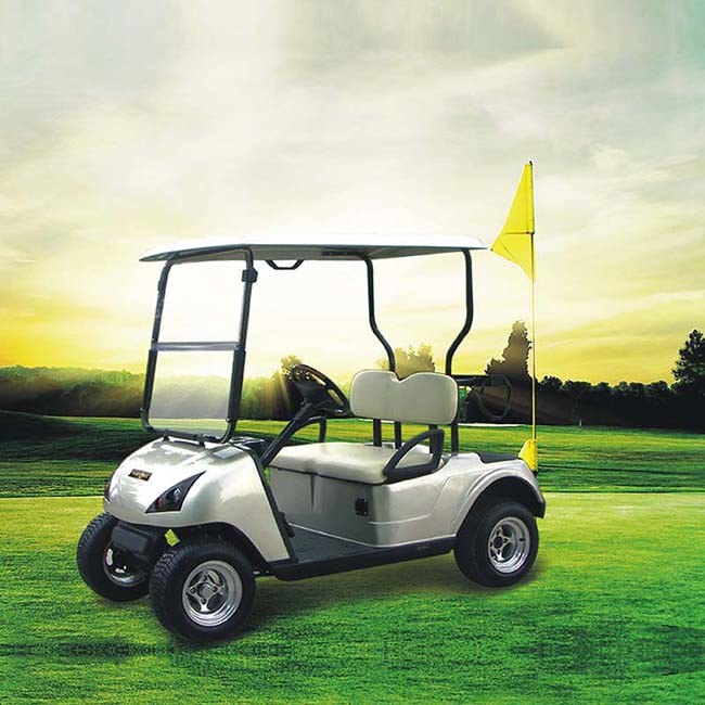 Electric Personal Golf Cart with CE Certificate Dg-C2 (China) Image1