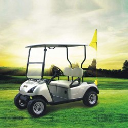 Electric Personal Golf Cart with CE Certificate Dg-C2 (China)