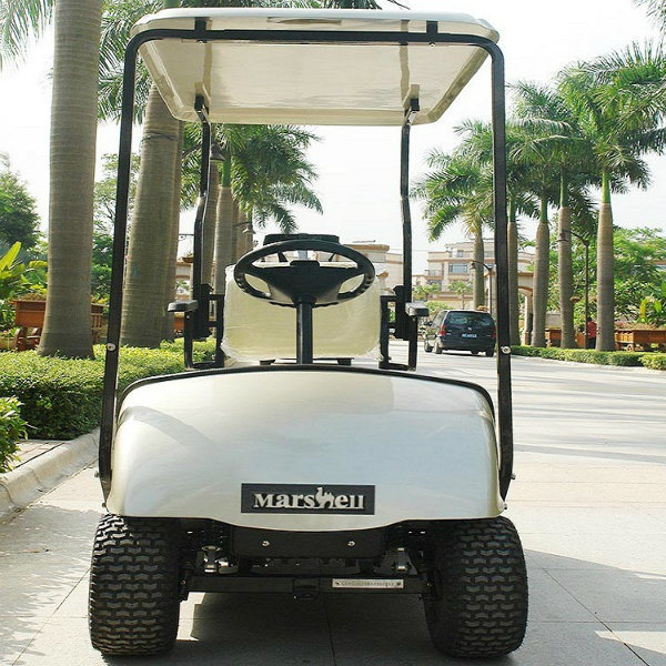 One Person Electric Small Golf Cart with CE (DG-C1) Image1