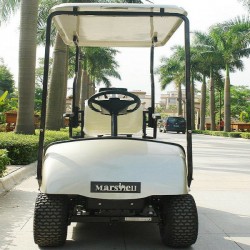 One Person Electric Small Golf Cart with CE (DG-C1)