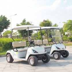 CE Certificate Factory Price Offer Electric Golf Cart with 4 Seats Dg-C4