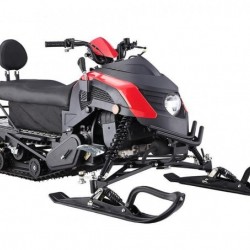 Snow Mobile 170cc with Low Price and High Quality