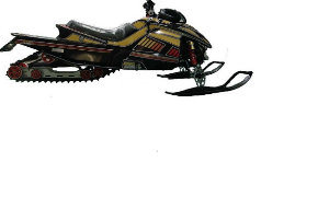 Snow Scooter 350cc and CVT Transmission Image1