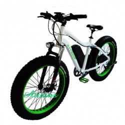 Fat Tire Electric Mo