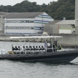 Aqualand 30feet 9m 16persons Fiberglass Rigid Inflatable Passenger /Rib Motor Boat/Rescue/Patrol/Div