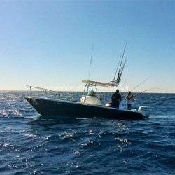 7.2m Fast Offshore Fiberglass Fishing Boat New Model