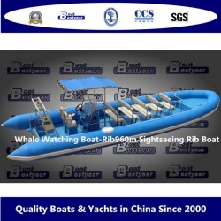 Whale Watching Boat-Rib960m Sightseeing Rib Boat