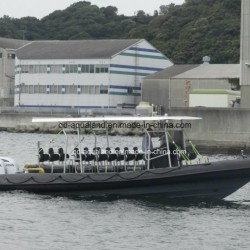 Aqualand 30feet 9m 12persons Rigid Inflatable Patrol Boat/Rescue/Dive Boat (RIB900)