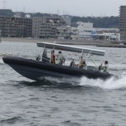 Aqualand 30feet 9m 16persons Passenger Motor Boat/Rescue/Patrol/Dive Boat (RIB900)
