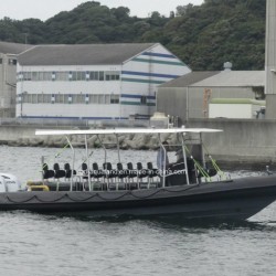 Aqualand 30feet 9m Rigid Inflatable Diving Boat/Rib Motor Boat/Dive/Rescue (RIB900)