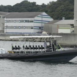 Aqualand 30feet 9m Rib Boat/Militray Rescue Patrol/Motor Boat (RIB900B)
