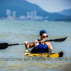 Portable Folded Canoe Inflatable Fishing Kayak, Rib Boat,