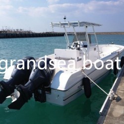 Speed Fiberglass Cabin Fishing Boat for Sale