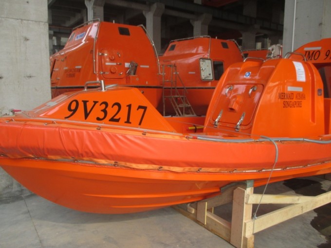 Iacs Approvals 4.0m 6 Men GRP Rescue Boat C/W Single Arm Davit Image1
