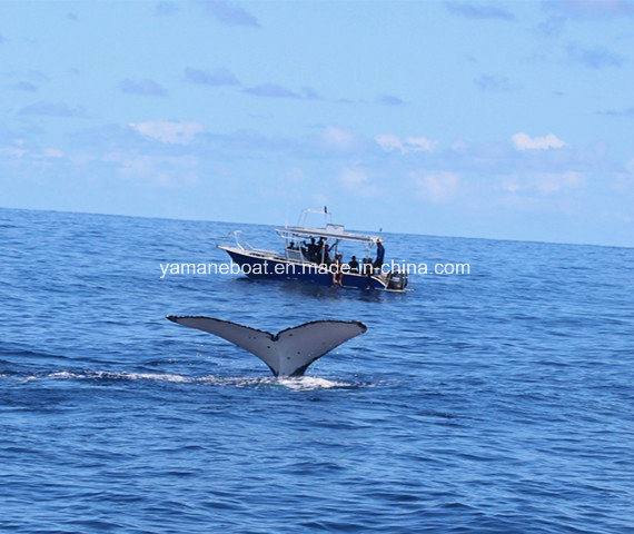 30FT Center Console Aluminum Fishing Boats Image1