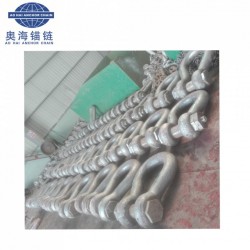 Supply High Strength Marine Anchor Shackle
