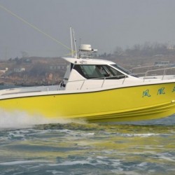 32FT Fiberglass Cabin Model Fishing Boat with Outboard Engine