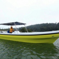 2016 New Model Fishi