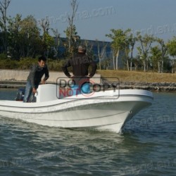 2014 New Model Fishi