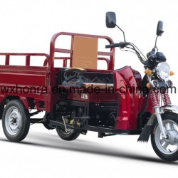110cc Gasoline Handicapped Tricycle for Disable People, Handicapped Tricycle for Cargo