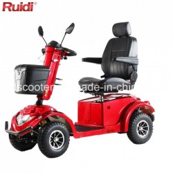 Outdoor Mobility Scooter 1400W Ce Certificate