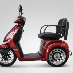Disabled Electric Tricycle (MSA-3)